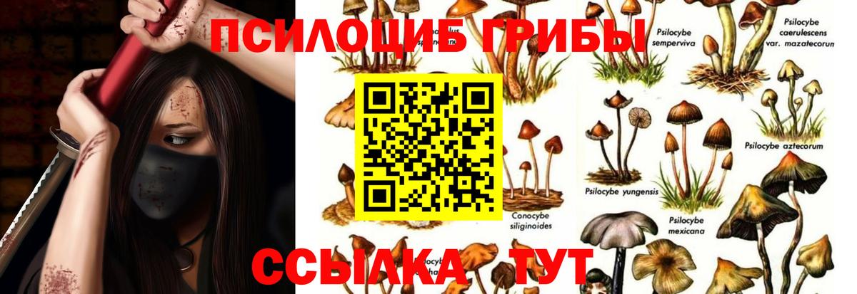 Донецк  закладки  Вход с VPN  Галлюциногенные грибы Psilocybine cubensis  Галлюциногенные грибы Psilocybine cubensis 